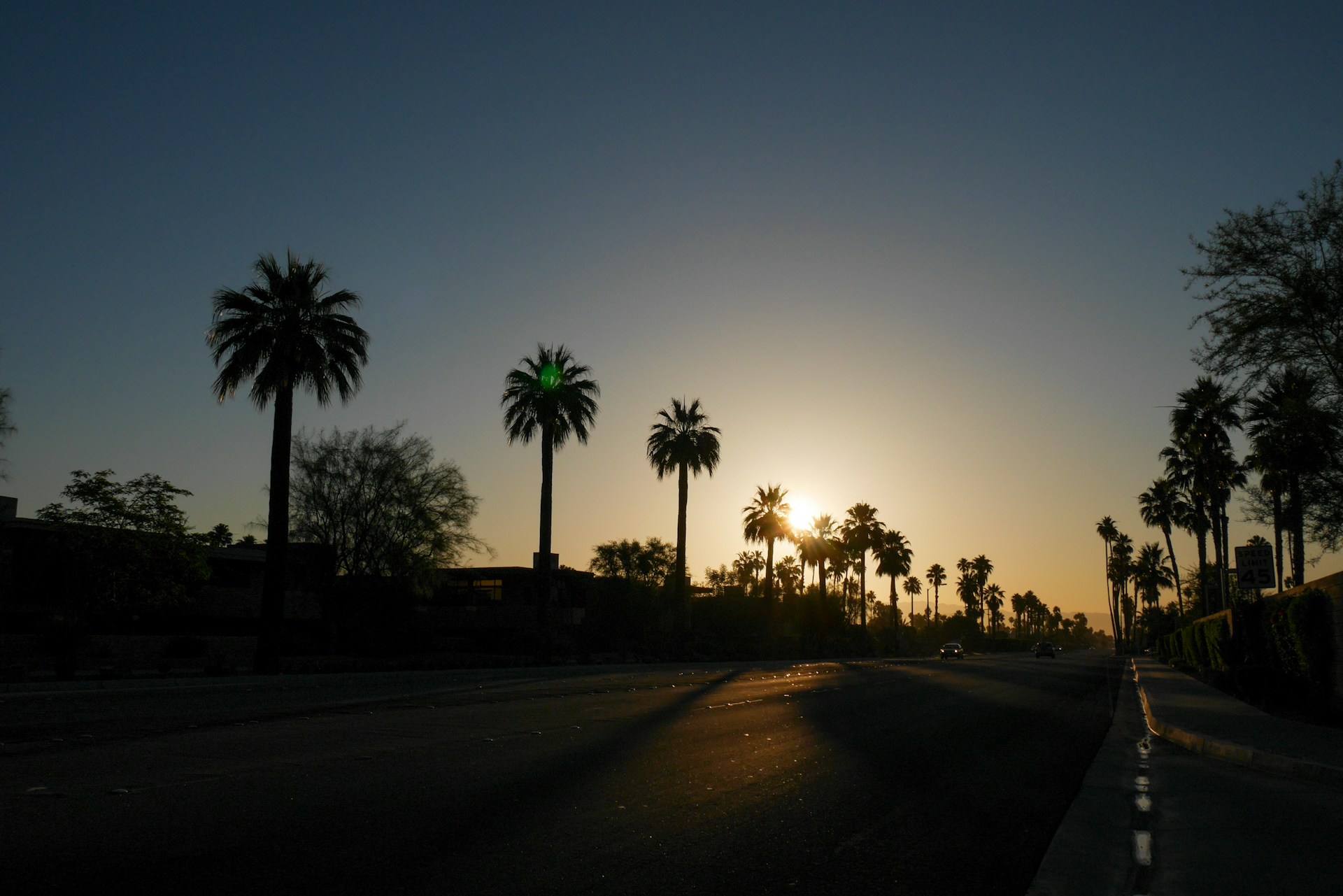 Coachella crowd at sunset in the California desert